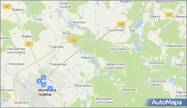 mapa Worowo gmina Murowana Goślina, Worowo gmina Murowana Goślina na mapie Targeo