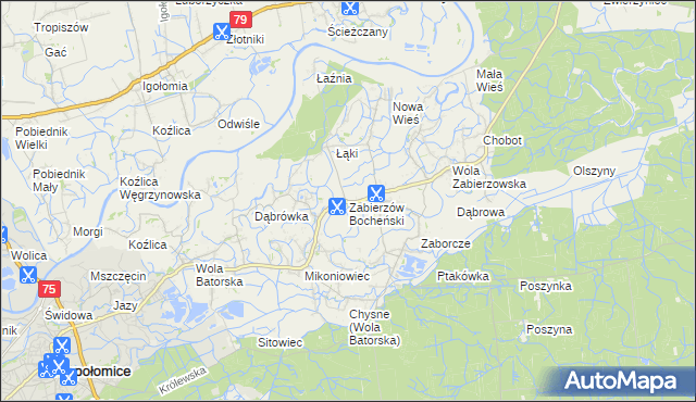 mapa Zabierzów Bocheński, Zabierzów Bocheński na mapie Targeo