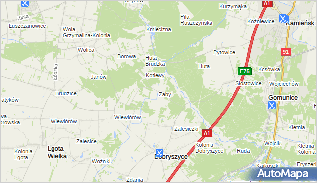 mapa Żaby gmina Dobryszyce, Żaby gmina Dobryszyce na mapie Targeo