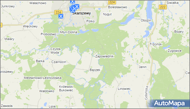 mapa Zapowiednik gmina Skarszewy, Zapowiednik gmina Skarszewy na mapie Targeo