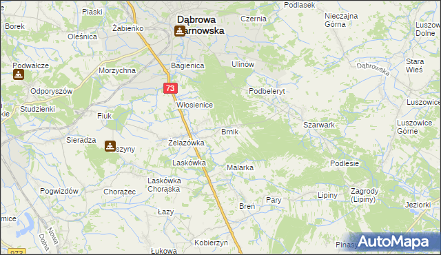 mapa Brnik, Brnik na mapie Targeo