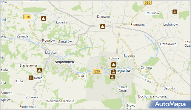 mapa Chruszczów-Kolonia, Chruszczów-Kolonia na mapie Targeo