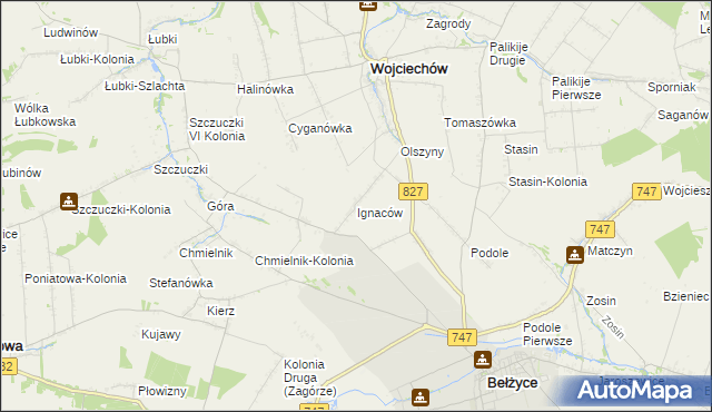 mapa Ignaców gmina Wojciechów, Ignaców gmina Wojciechów na mapie Targeo