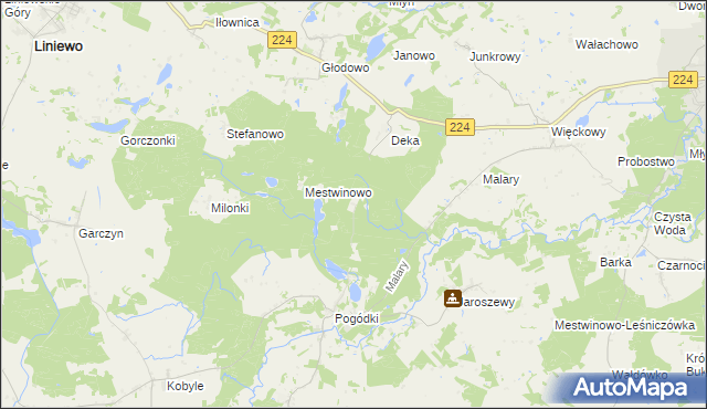 mapa Jastrzębce gmina Skarszewy, Jastrzębce gmina Skarszewy na mapie Targeo