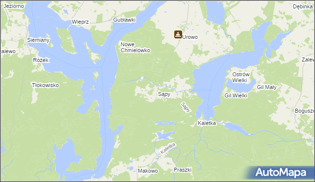 mapa Sąpy gmina Iława, Sąpy gmina Iława na mapie Targeo