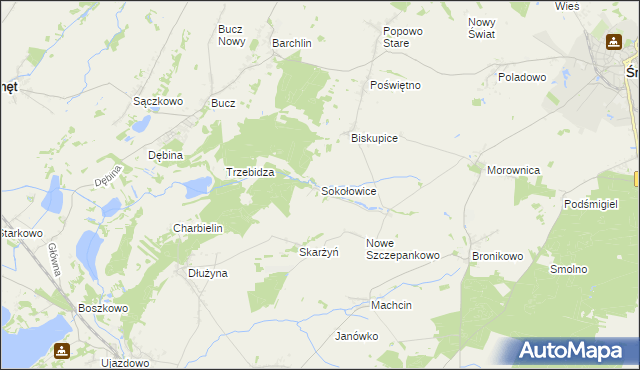 mapa Sokołowice gmina Przemęt, Sokołowice gmina Przemęt na mapie Targeo