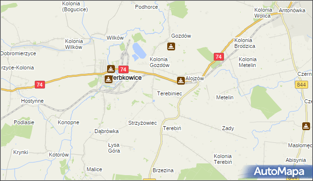 mapa Terebiniec, Terebiniec na mapie Targeo