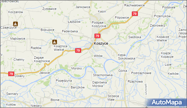 mapa Witów gmina Koszyce, Witów gmina Koszyce na mapie Targeo