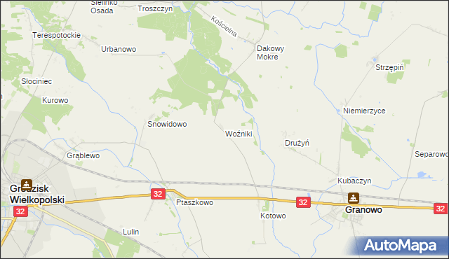 mapa Woźniki gmina Grodzisk Wielkopolski, Woźniki gmina Grodzisk Wielkopolski na mapie Targeo