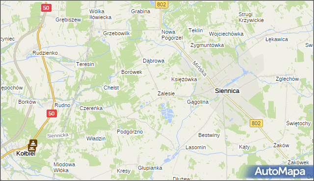 mapa Zalesie gmina Siennica, Zalesie gmina Siennica na mapie Targeo