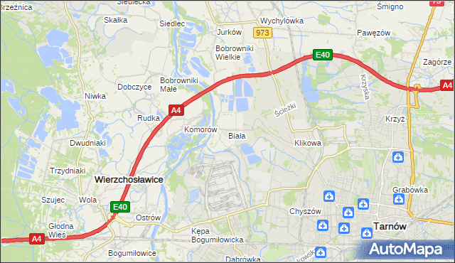 mapa Biała gmina Tarnów, Biała gmina Tarnów na mapie Targeo