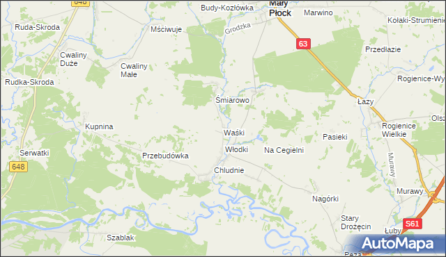 mapa Waśki gmina Mały Płock, Waśki gmina Mały Płock na mapie Targeo