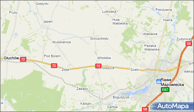 mapa Witoldów gmina Głuchów, Witoldów gmina Głuchów na mapie Targeo