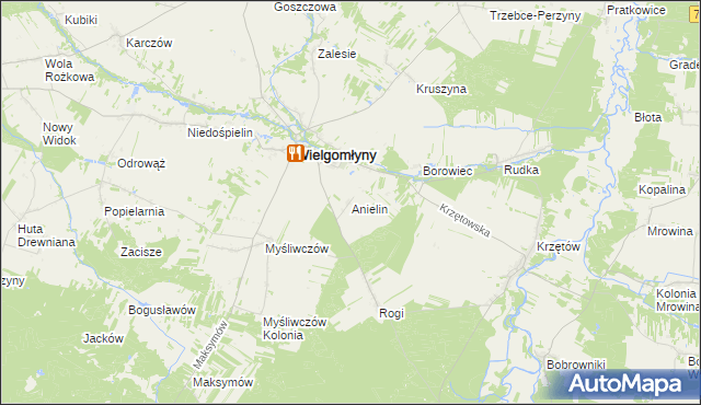 mapa Anielin gmina Wielgomłyny, Anielin gmina Wielgomłyny na mapie Targeo