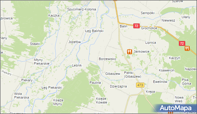 mapa Borzewisko gmina Poddębice, Borzewisko gmina Poddębice na mapie Targeo