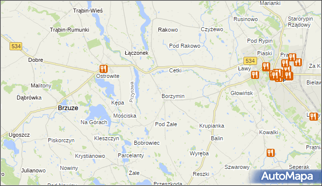 mapa Borzymin, Borzymin na mapie Targeo