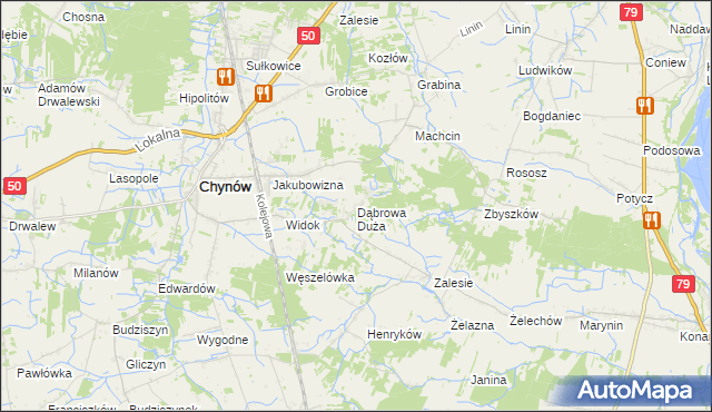 mapa Dąbrowa Duża gmina Chynów, Dąbrowa Duża gmina Chynów na mapie Targeo