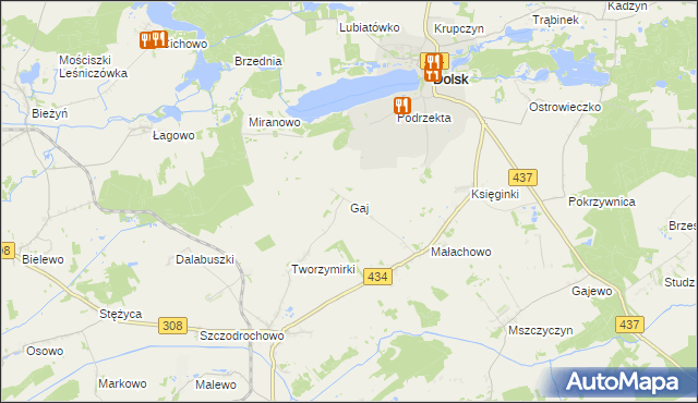 mapa Gaj gmina Gostyń, Gaj gmina Gostyń na mapie Targeo