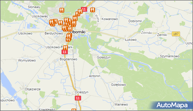 mapa Gołaszyn gmina Oborniki, Gołaszyn gmina Oborniki na mapie Targeo