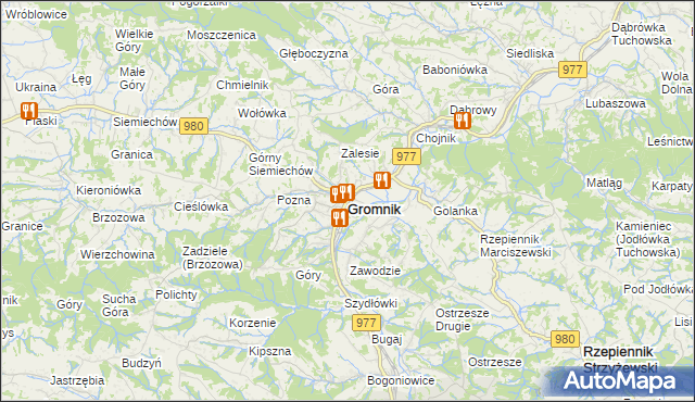 mapa Gromnik powiat tarnowski, Gromnik powiat tarnowski na mapie Targeo