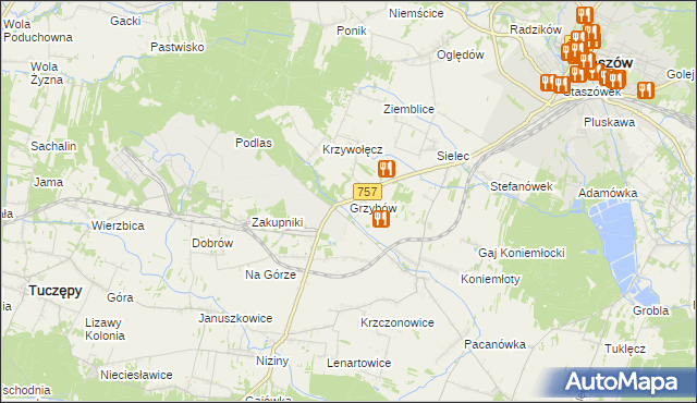 mapa Grzybów gmina Staszów, Grzybów gmina Staszów na mapie Targeo