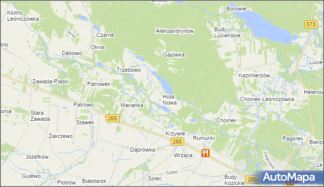 mapa Huta Nowa gmina Gostynin, Huta Nowa gmina Gostynin na mapie Targeo