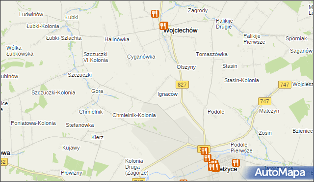 mapa Ignaców gmina Wojciechów, Ignaców gmina Wojciechów na mapie Targeo