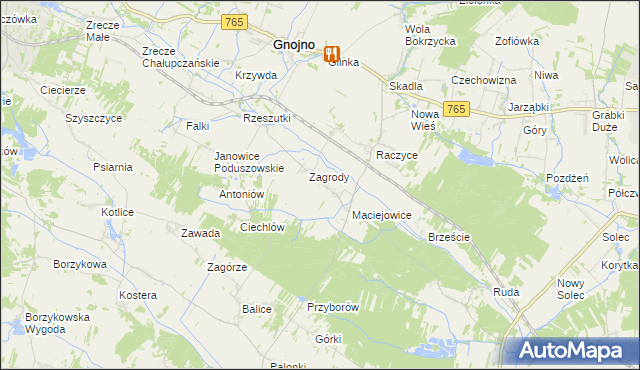 mapa Janowice Raczyckie, Janowice Raczyckie na mapie Targeo