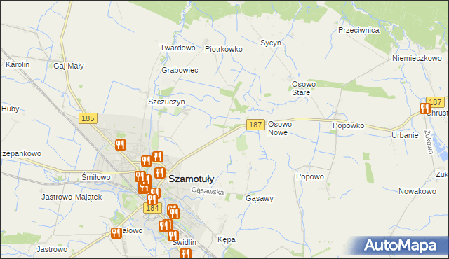 mapa Ludwikowo gmina Szamotuły, Ludwikowo gmina Szamotuły na mapie Targeo