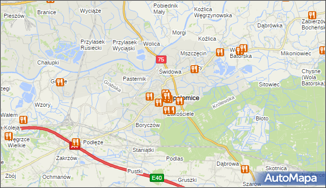 mapa Niepołomice, Niepołomice na mapie Targeo