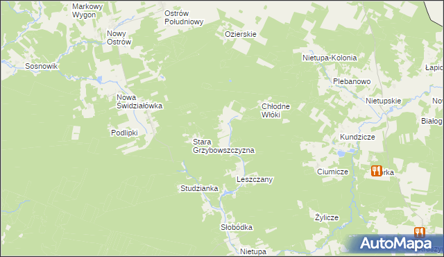 mapa Nowa Grzybowszczyzna, Nowa Grzybowszczyzna na mapie Targeo