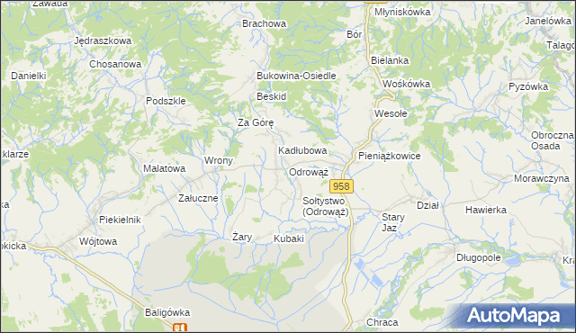 mapa Odrowąż gmina Czarny Dunajec, Odrowąż gmina Czarny Dunajec na mapie Targeo