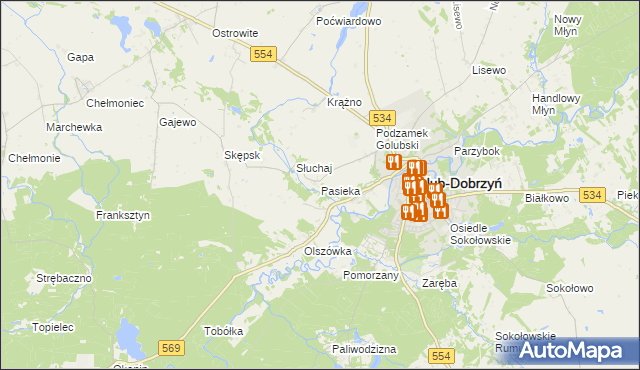 mapa Pasieka gmina Golub-Dobrzyń, Pasieka gmina Golub-Dobrzyń na mapie Targeo