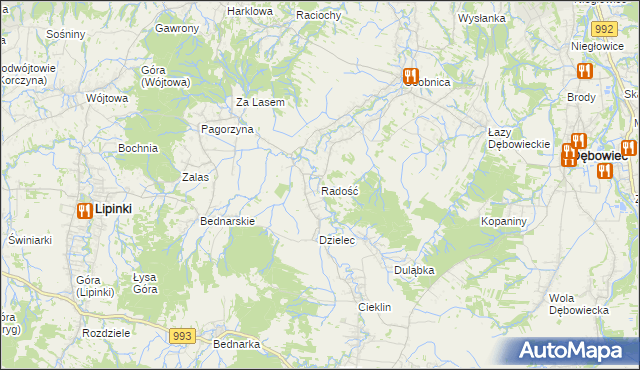 mapa Radość gmina Dębowiec, Radość gmina Dębowiec na mapie Targeo