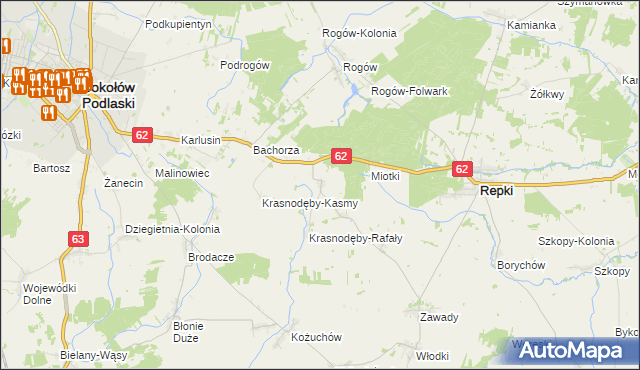 mapa Remiszew Duży, Remiszew Duży na mapie Targeo