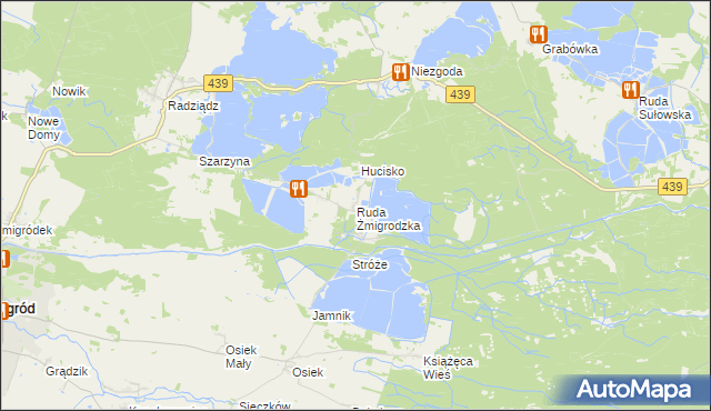 mapa Ruda Żmigrodzka, Ruda Żmigrodzka na mapie Targeo