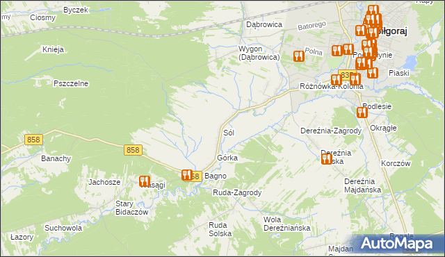 mapa Sól gmina Biłgoraj, Sól gmina Biłgoraj na mapie Targeo