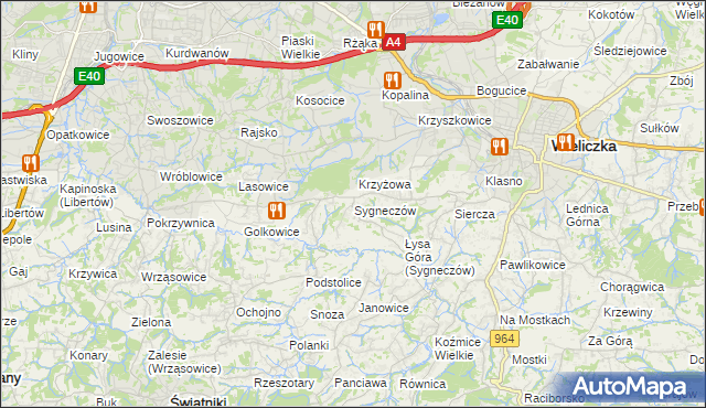 mapa Sygneczów, Sygneczów na mapie Targeo