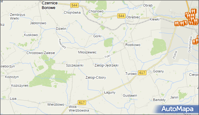 mapa Toki gmina Czernice Borowe, Toki gmina Czernice Borowe na mapie Targeo