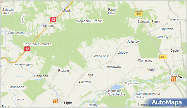 mapa Wapiennik gmina Lipie, Wapiennik gmina Lipie na mapie Targeo