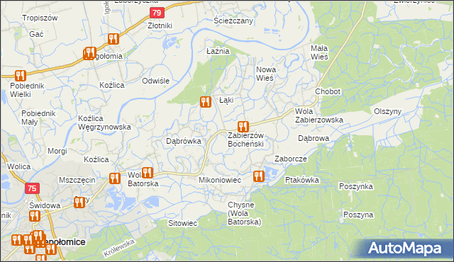 mapa Zabierzów Bocheński, Zabierzów Bocheński na mapie Targeo