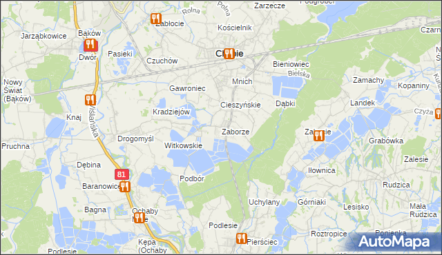 mapa Zaborze gmina Chybie, Zaborze gmina Chybie na mapie Targeo
