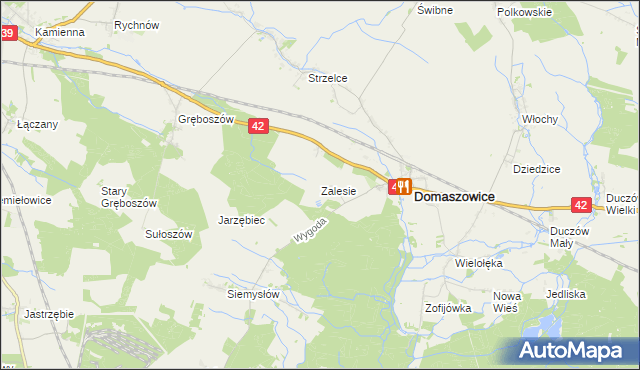 mapa Zalesie gmina Domaszowice, Zalesie gmina Domaszowice na mapie Targeo