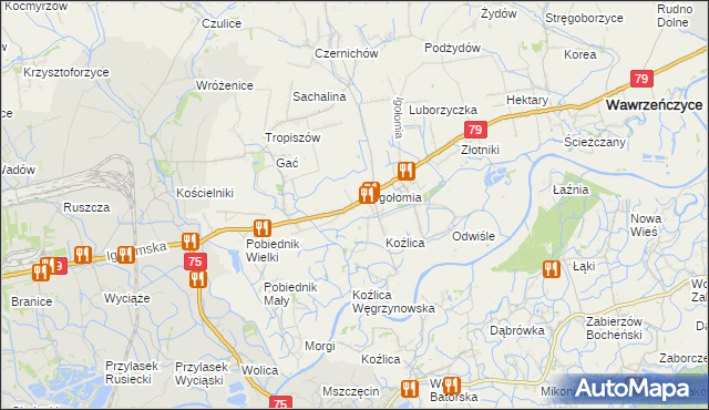 mapa Zofipole gmina Igołomia-Wawrzeńczyce, Zofipole gmina Igołomia-Wawrzeńczyce na mapie Targeo