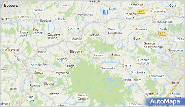 mapa Bieśnik gmina Łużna, Bieśnik gmina Łużna na mapie Targeo
