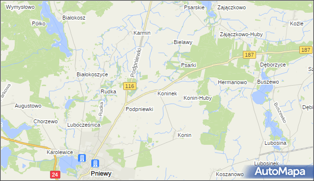 mapa Koninek gmina Pniewy, Koninek gmina Pniewy na mapie Targeo