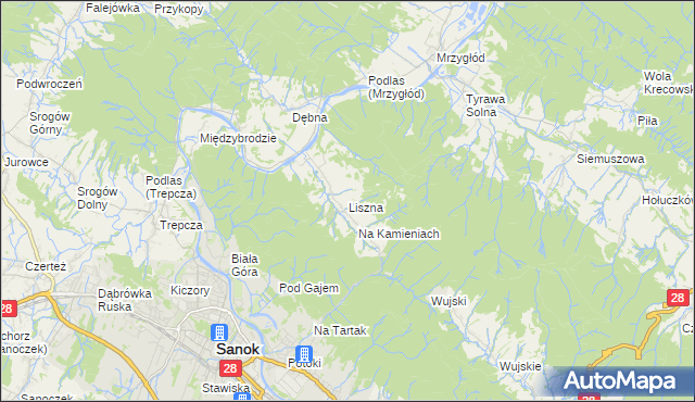 mapa Liszna gmina Sanok, Liszna gmina Sanok na mapie Targeo