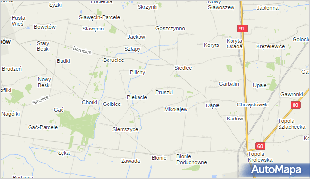 mapa Pruszki gmina Łęczyca, Pruszki gmina Łęczyca na mapie Targeo