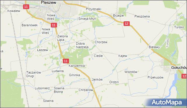 mapa Cieśle gmina Gołuchów, Cieśle gmina Gołuchów na mapie Targeo