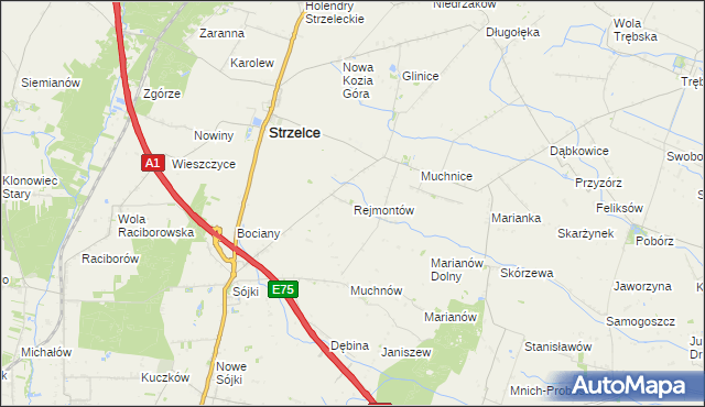 mapa Rejmontów, Rejmontów na mapie Targeo